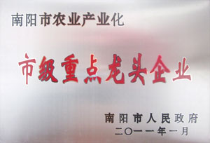 公司荣誉