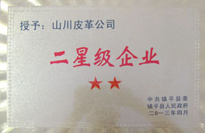 公司荣誉