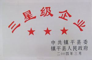 公司荣誉